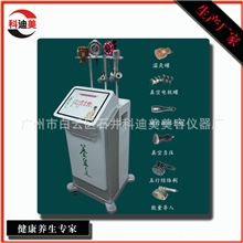 养生之道健康养生专家精油养生仪经络疏通仪养生保健仪器厂家