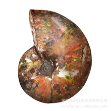 七彩斑彩石宝石级斑彩螺艺术摆件加拿大斑彩螺奇石收藏