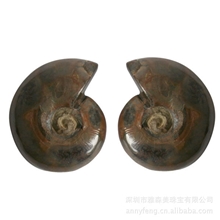 加拿大斑彩螺斑彩螺艺术摆件奇石收藏风水石健康石爱情石