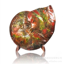 油画斑彩斑彩石加拿大斑彩螺风水摆件李居明推荐