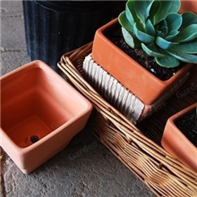 国际盆/红陶花盆/四方国际盆/厂家直销新恒昌彩瓷厂