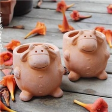 特价红陶盆/多肉植物/扑白小牛盆