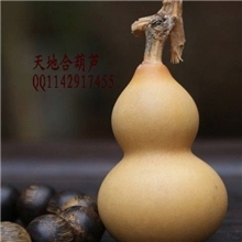 工艺葫芦天然葫芦美国手捻葫芦葫芦工艺品大葫芦小葫芦