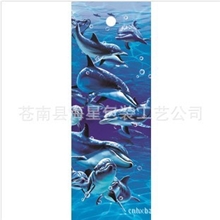 磁性卡片，3DPP片，三维卡片，促销必备，工艺精美