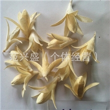干花材料批发采用新工艺玉兰花漂白染色漂染松果拉毛果等