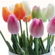 小额批发PU郁金香，仿真郁金香，仿真花，绢花，人造假花郁金香