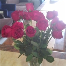 【君轩缘玫瑰花卉】提供各种玫瑰花卉定做/批发婚庆红玫瑰花卉