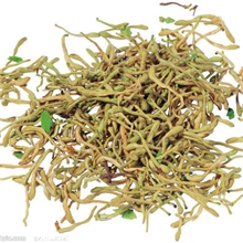 金银花，二花，统装货，欢迎订购，专业中药材批发