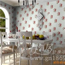 创业致富,加盟代理-有氧居环保水壁纸