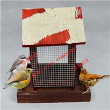 厂家直供宠物用品木制品木制喂鸟器Birdfeeder木质工艺品
