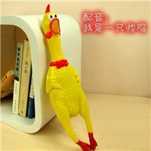 创意发泄减压愚人中号惨叫鸡发声整蛊搞笑尖叫鸡发泄鸡量大从优