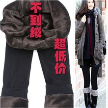 2013年热卖双层不倒绒加厚加绒保暖裤打底裤批发厂c022