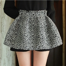 2013秋装新款女装韩国鸟巢印花高腰褶皱蓬蓬裙短裙裙裤半身裙