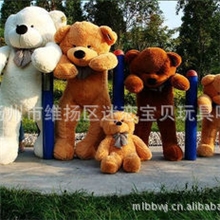 批发林嘉欣泰迪熊领结熊大熊公仔熊婚庆生日礼物大号