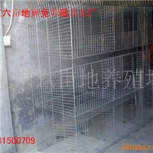 供应养兔笼具獭兔笼具笼子