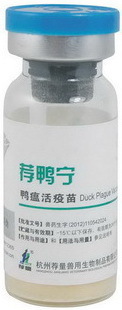 供应鸭瘟活疫苗