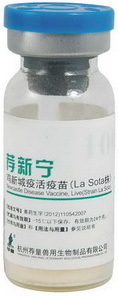 供应鸡新城疫活疫苗（LaSota株）