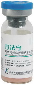 供应鸡传染性法氏囊病活疫苗