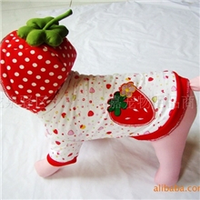 批发宠物服装【新款草莓棉服】加厚加棉防寒服