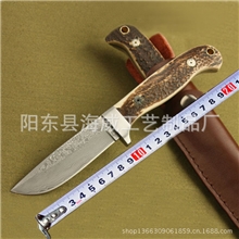 收藏爱好者大马士革钢刀鹿角柄收藏小直刀