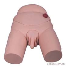 KAR/D3高级男(女)性导尿模型