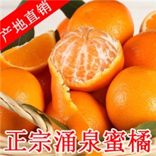 中桔现采现卖老家临海/涌泉蜜桔批发基地柑橘批发团购纯天然