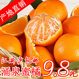 新鲜水果小橘子桔子浙江临海涌泉蜜桔山地桔早熟宫川黄岩蜜桔