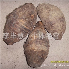 【小额批发】广西特产槟榔芋头1.2--2斤/个粉粉的