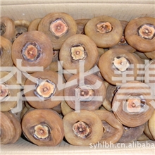 【小额批发】柿饼柿干干柿小饼5mm左右新品9月下旬上市