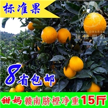 新鲜水果脐橙批发赣南脐橙信丰脐橙礼品送礼橙实惠果榨汁