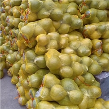 柚，甜柚，沙田柚，广西阳朔沙田柚