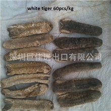 批发进口海参/埃及/斯里兰卡沙参，虎参，乌虫，赤虫，黑白猪婆参