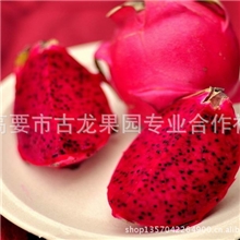 火龙果批发价