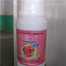 葡萄叶面肥植物源提取液院士专利产品保花保果靓果