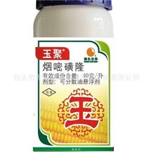 供玉米除草剂--玉聚