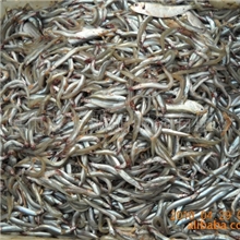 供应沙里钻（玉筋鱼、小金鱼）