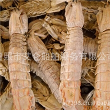 艾仑供应琵琶虾壳（爬虾壳、虾虎壳、虾爬子壳）欢迎前来选购！