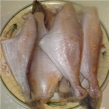 艾仑供应扒皮鱼干优质扒皮鱼干欢迎前来选购！