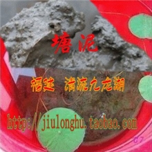 水培碗莲荷花水生花卉专用营养土碗莲泥河泥塘泥福建三明