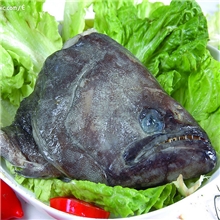 石浦海鲜冷冻/雅片/鱼头/碟鱼头