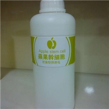 苹果干细胞紧致抗衰精华原液霜原料供应可OEM