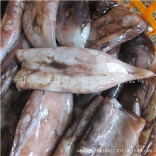 秘鲁鱿鱼无头胴体出口品质冷冻冻冻鱿鱼优质舟山冻海鲜批发