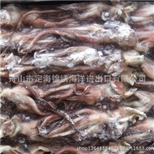 冷冻秘鲁鱿鱼小头冰冻秘鲁鱿鱼批发出口品质舟山海水产品