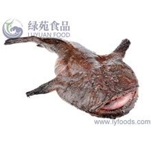 批发安康鱼（蛤蟆鱼）各种海产品供应