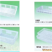 出雏盘批发质量好