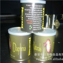 供应各种昆虫.罐头