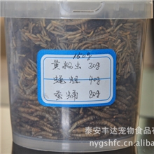 供应鸟食昆虫宠物罐头
