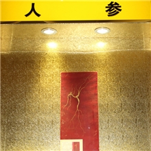 野山参东北长白山30年野生人参15000元只有一只一级品质