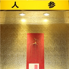野山参东北长白山30年野生人参35000元只有一只一级品质