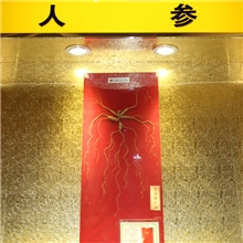 野山参东北长白山70年野生人参长空舒长袖野山参一级品质